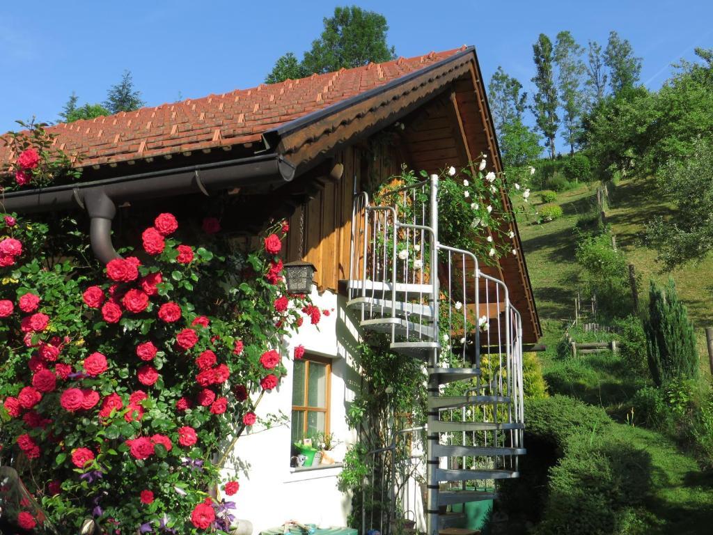 Hotel Haus Loidl à Sankt Gallen Extérieur photo